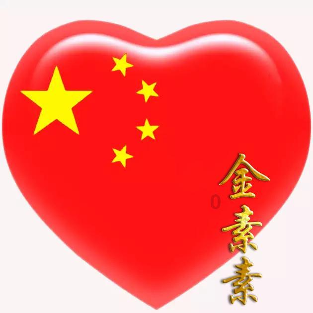 沈阳公安局开展新年巡逻防控，街头红旗警车车队连绵不断，一眼望不到头