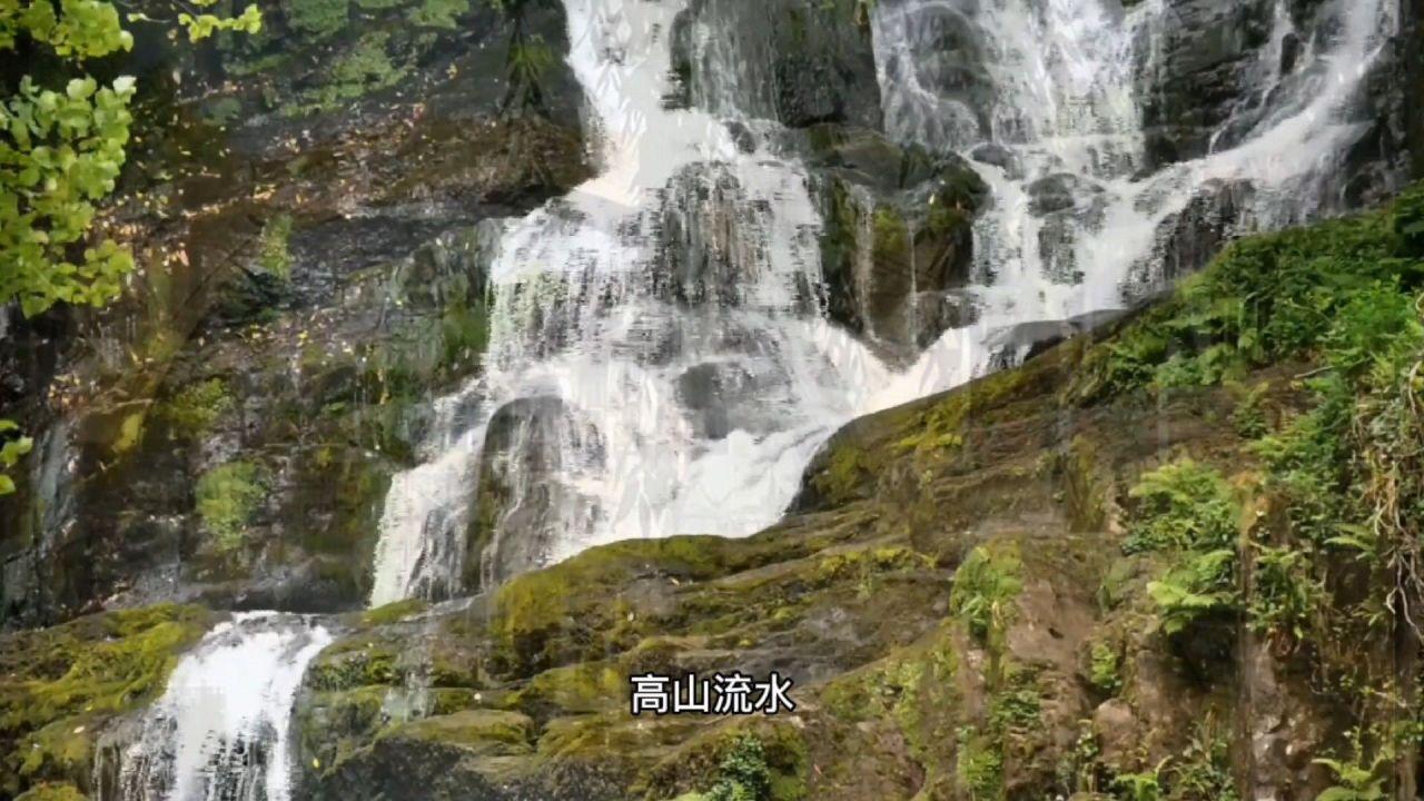 小僵尸消消看