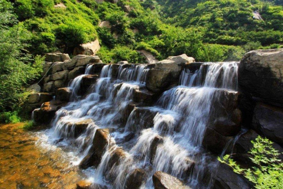 植物大战僵尸1下载教程游戏画面