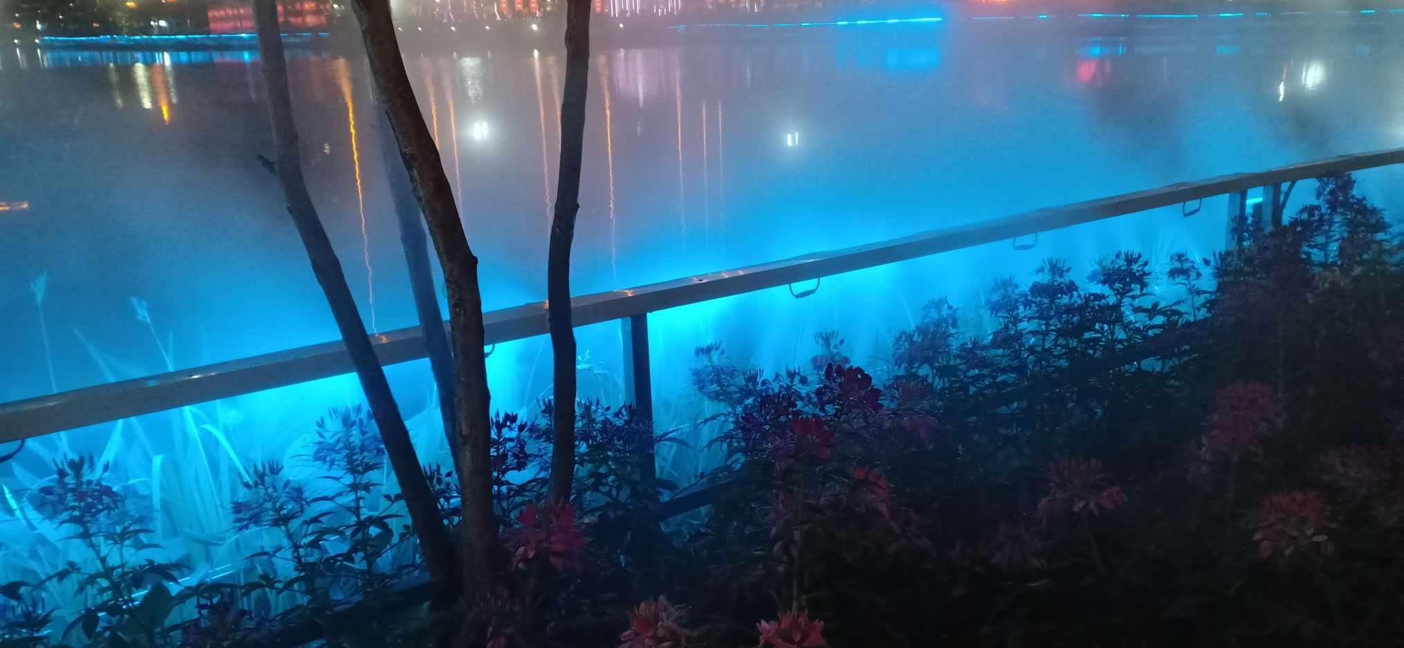 热带天堂找不同